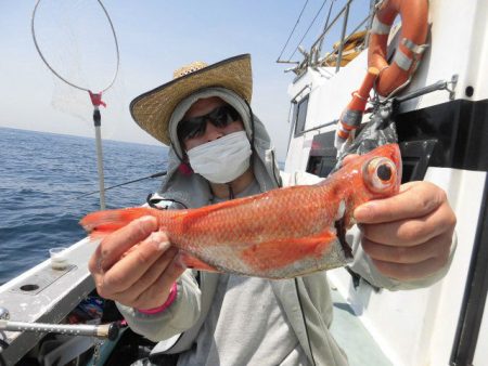 大進丸（愛知） 釣果
