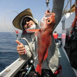 大進丸（愛知） 釣果