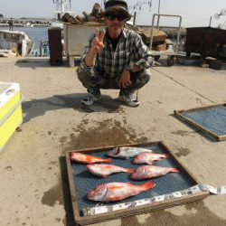 大進丸（愛知） 釣果