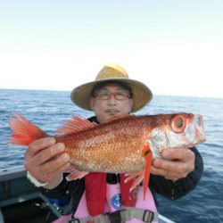 大進丸(愛知) 釣果