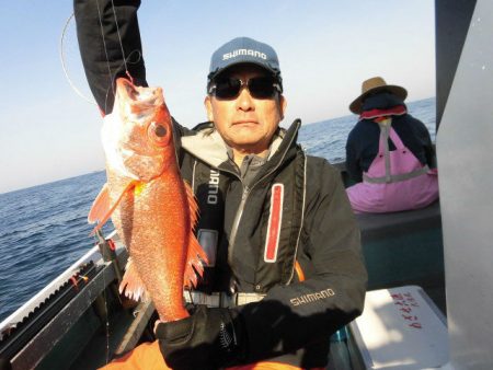 大進丸(愛知) 釣果