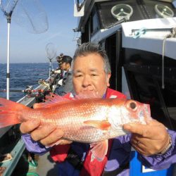 大進丸(愛知) 釣果