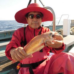 大進丸(愛知) 釣果