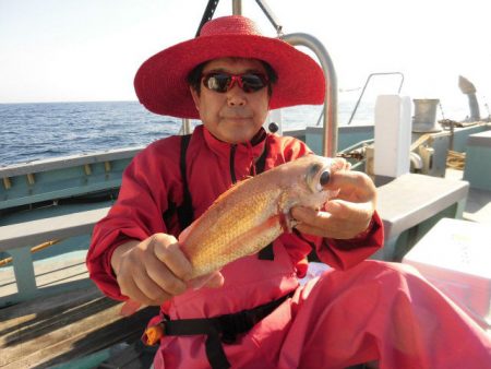 大進丸(愛知) 釣果