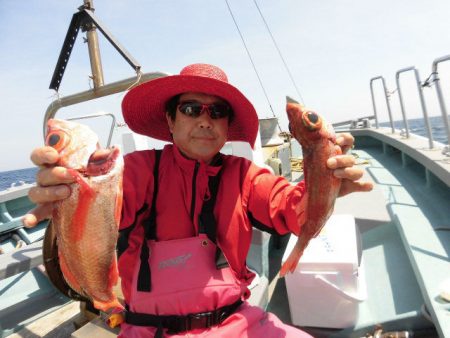 大進丸(愛知) 釣果