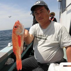 大進丸(愛知) 釣果