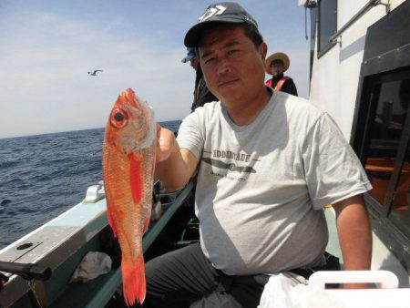 大進丸(愛知) 釣果