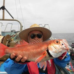 大進丸(愛知) 釣果