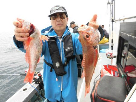 大進丸(愛知) 釣果