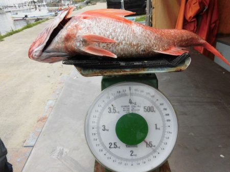 大進丸(愛知) 釣果