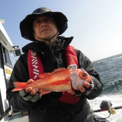 大進丸(愛知) 釣果