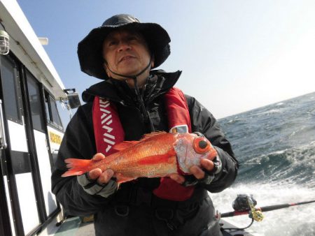 大進丸(愛知) 釣果
