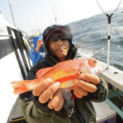 大進丸(愛知) 釣果