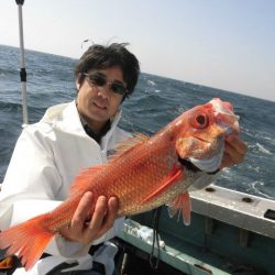 大進丸(愛知) 釣果