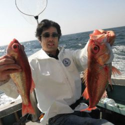 大進丸(愛知) 釣果