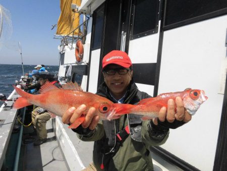 大進丸(愛知) 釣果