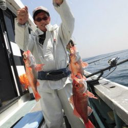 大進丸(愛知) 釣果