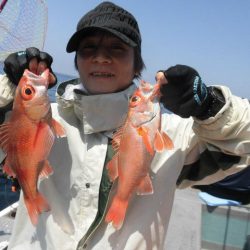 大進丸(愛知) 釣果