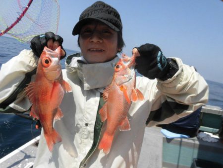 大進丸(愛知) 釣果