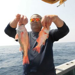 大進丸(愛知) 釣果