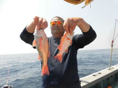 大進丸(愛知) 釣果