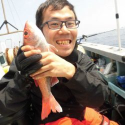 大進丸(愛知) 釣果