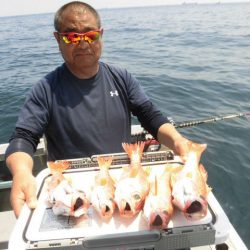 大進丸(愛知) 釣果