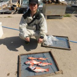 大進丸(愛知) 釣果