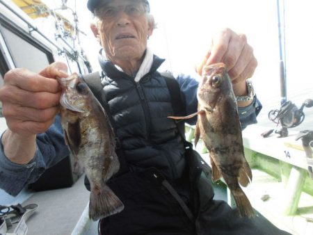 大進丸（愛知） 釣果