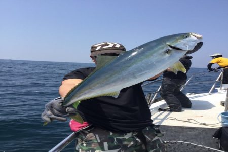 ジギング船 BLUEWATER 釣果