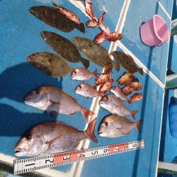 十八宝洋丸 釣果