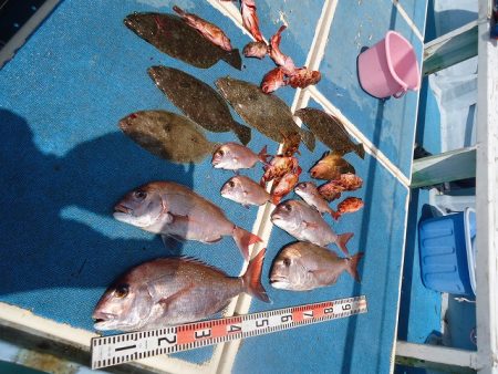 十八宝洋丸 釣果