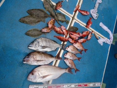 十八宝洋丸 釣果