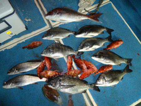 十八宝洋丸 釣果