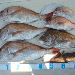 ＨＡＲＵＫＡ丸　はるかまる 釣果