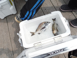 バラモン1号 釣果