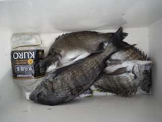 バラモン1号 釣果