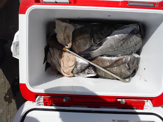 バラモン1号 釣果