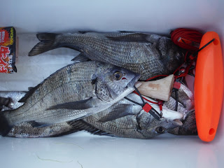 バラモン1号 釣果