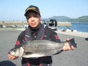 春日丸 釣果