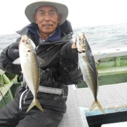 大進丸(愛知) 釣果