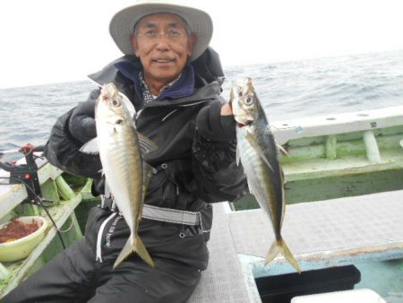 大進丸(愛知) 釣果