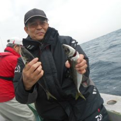 大進丸(愛知) 釣果