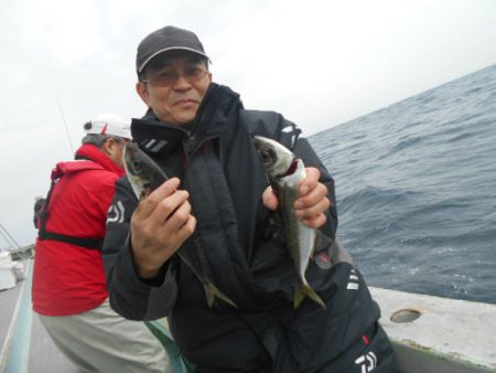 大進丸(愛知) 釣果