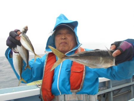 大進丸(愛知) 釣果