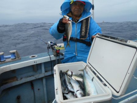 大進丸(愛知) 釣果