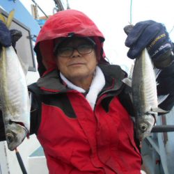 大進丸(愛知) 釣果