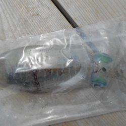 こかわ渡船 雅丸 釣果