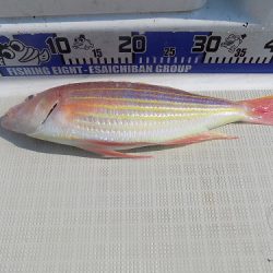 フィッシングボート空風(そらかぜ) 釣果