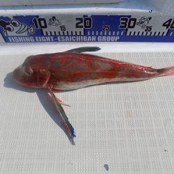 フィッシングボート空風(そらかぜ) 釣果